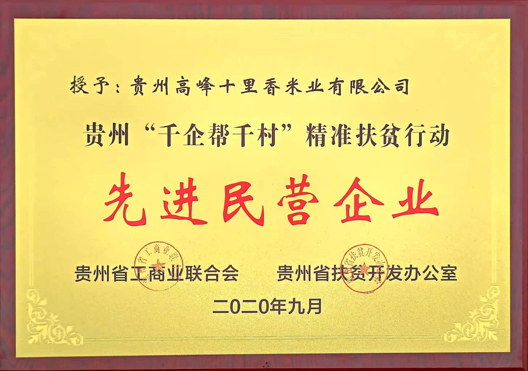 先進(jìn)民營(yíng)企業(yè)
