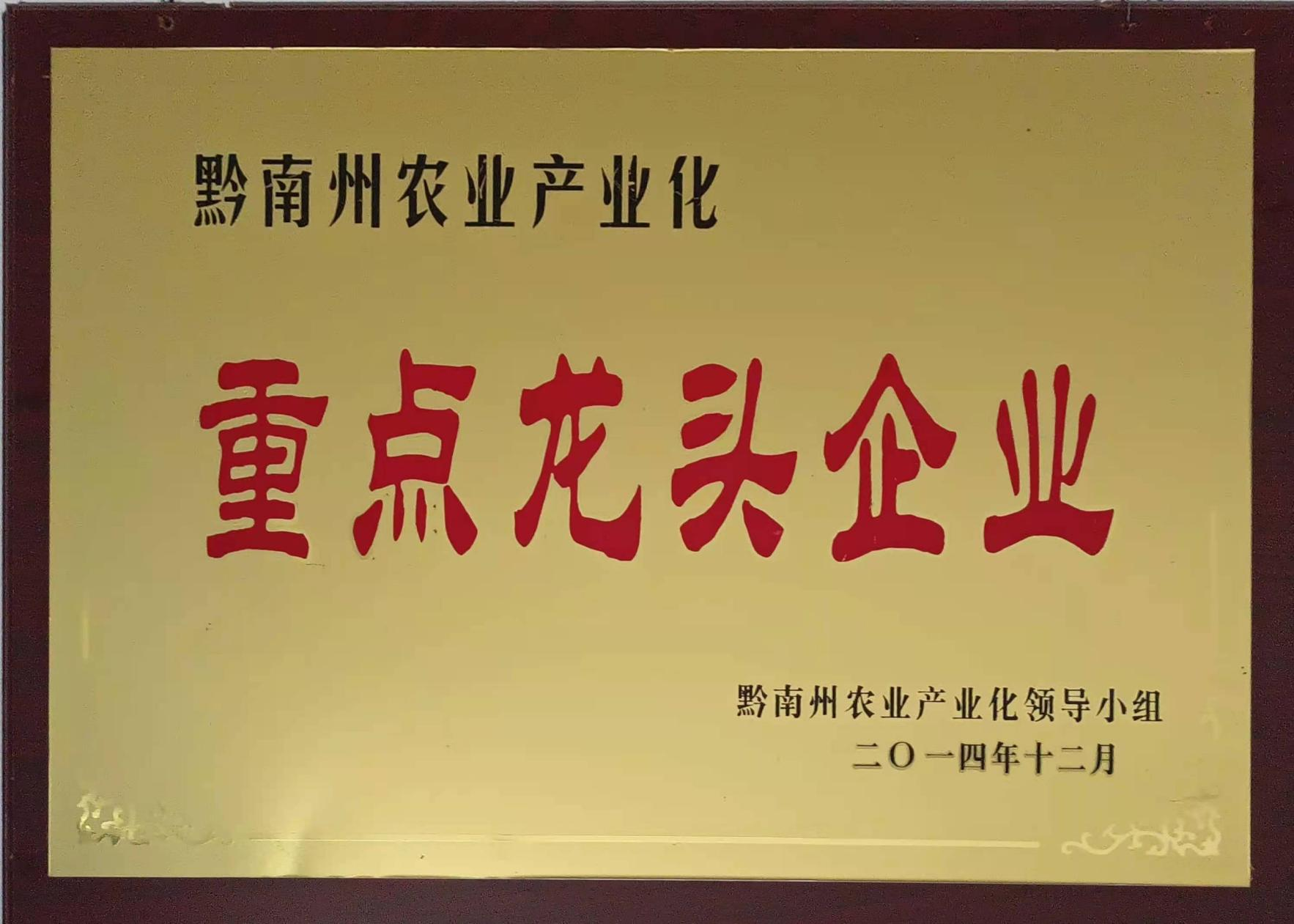 重點(diǎn)龍頭企業(yè)