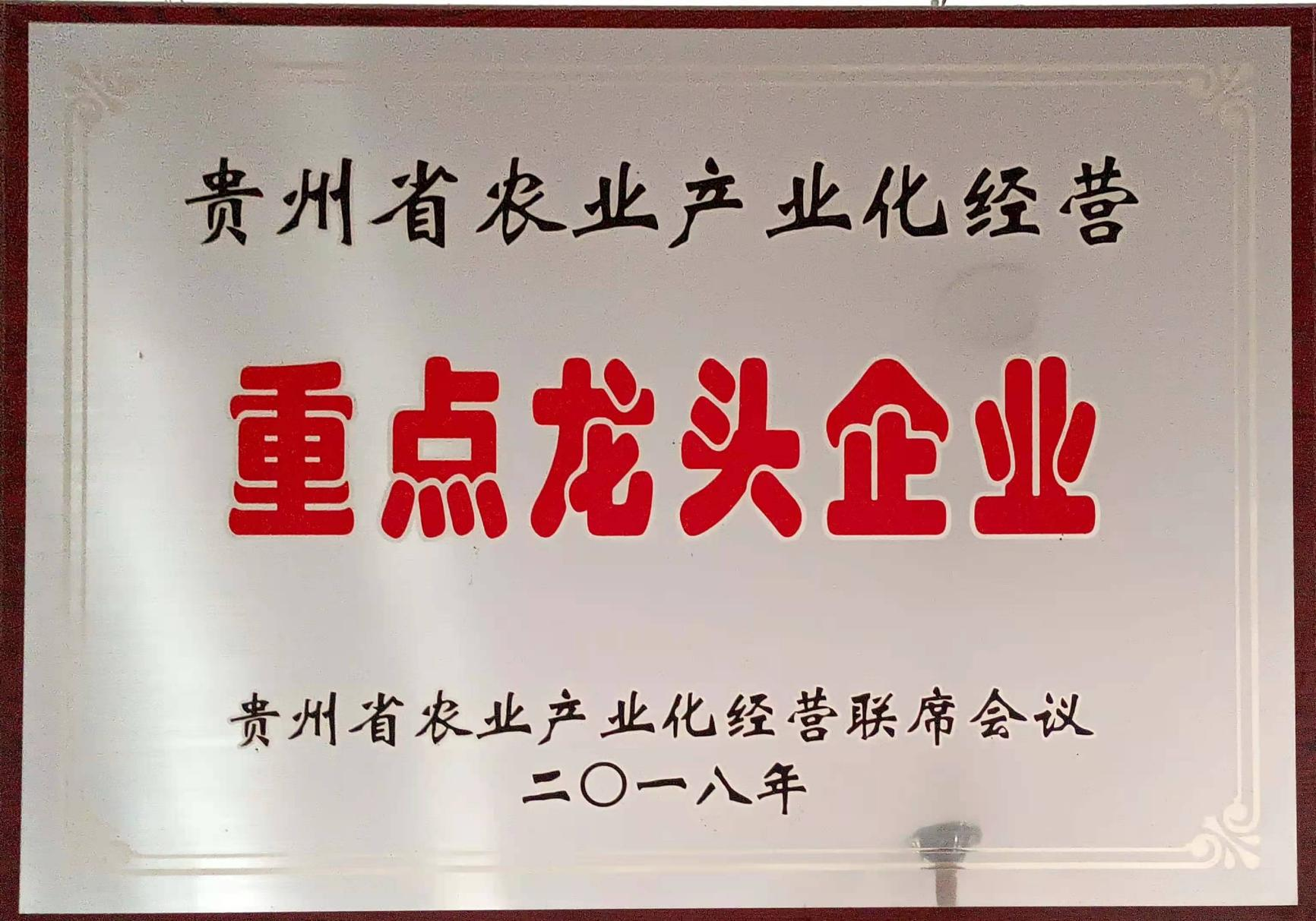 重點(diǎn)龍頭企業(yè)